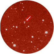 Proto-brown dwarf